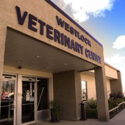 Westlock Veterinary Center