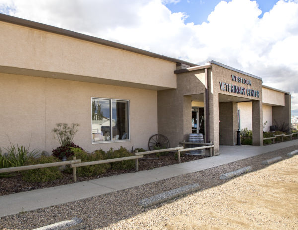 Westlock Veterinary Center