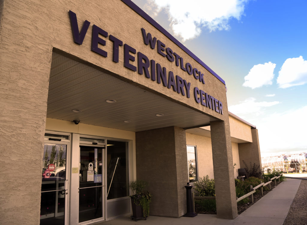 westlock vet center • Westlock Veterinary Center