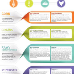 pet nutrition pet nutrition